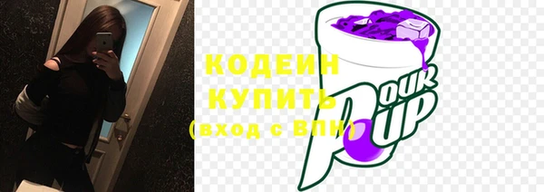 мдпв Горно-Алтайск