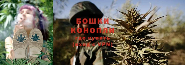 мдпв Горно-Алтайск