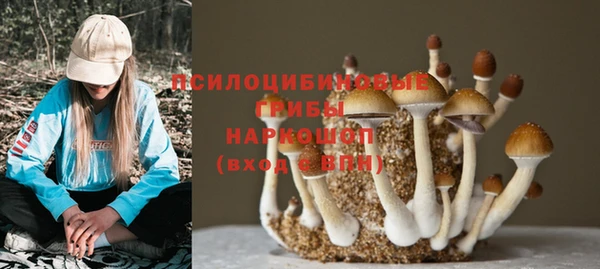 мескалин Гусев